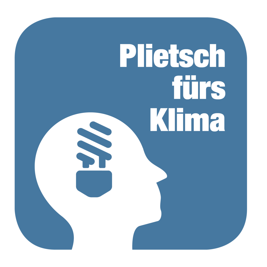 Bild Zeigt Logo des Projektes Plietsch fürs Klima