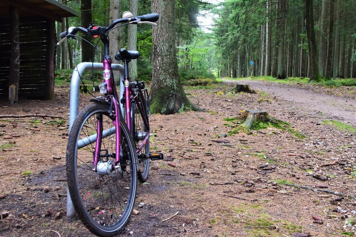 Radbügel am Unterstand „Allee Baum des Jahres“ in den Kreistannen Foto: Kreis Dithmarschen