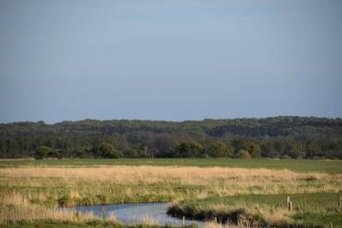 ein Fluss schlängelt sich durch eine Wiese, im Hintergrund ein Hügel mit Wald