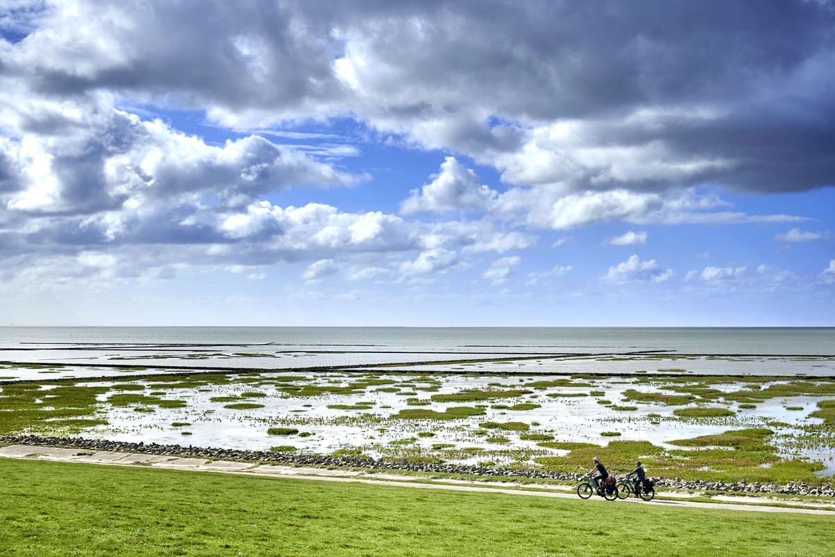 Hedwigenkoog Fotos: © Dithmarschen Tourismus / Photocompany